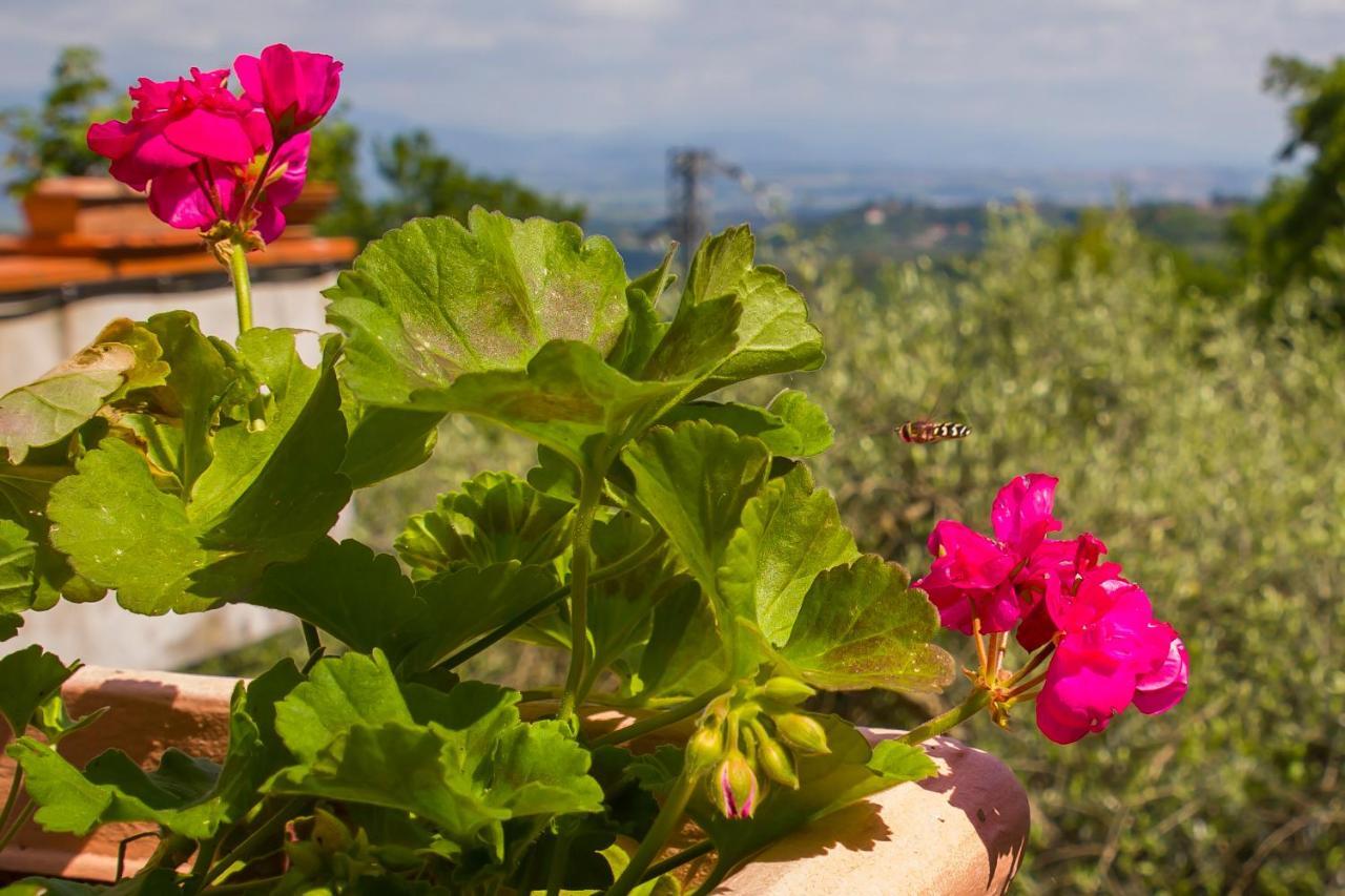 Poggio Della Roverella Country House Morlupo Exterior photo